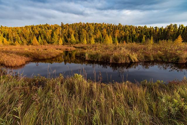 Superior National Forest